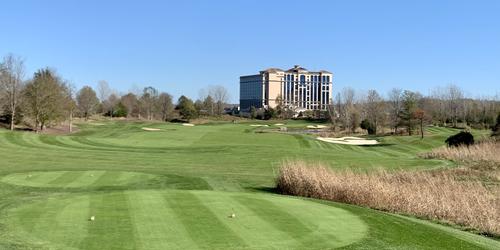 Getting To Know: Belterra Golf Club